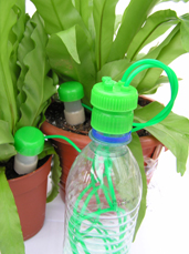Two Plants using WaterMe
